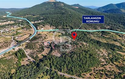 ÇANAKKALE KİRAZLI KÖYÜNDE 9.500 M2 TARLA
