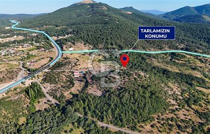 ÇANAKKALE KİRAZLI KÖYÜNDE 9.500 M2 TARLA