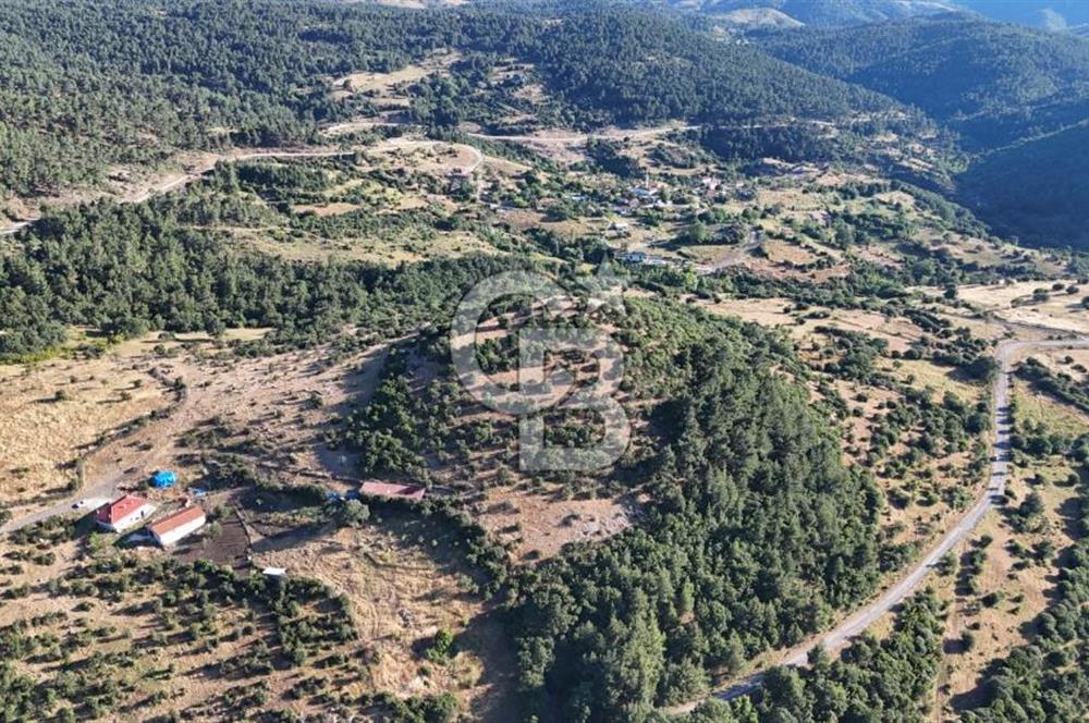 ÇANAKKALE KİRAZLI KÖYÜNDE 9.500 M2 TARLA