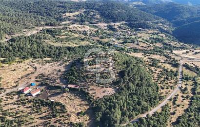 ÇANAKKALE KİRAZLI KÖYÜNDE 9.500 M2 TARLA