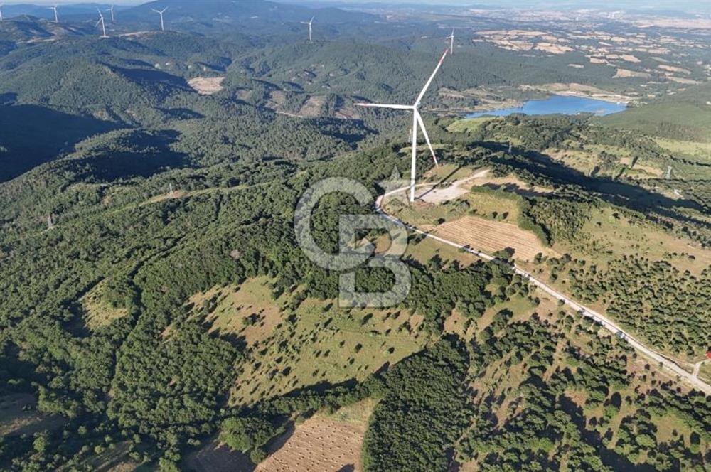 ÇANAKKALE MERKEZ KOCALAR KÖYÜNDE 13.300 M2 TARLA