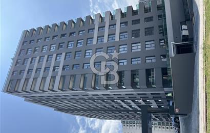 CB SITKI ŞİMŞEK'TEN AP İSTPORT TERRACE'DA 2+1 KİRALIK DAİR