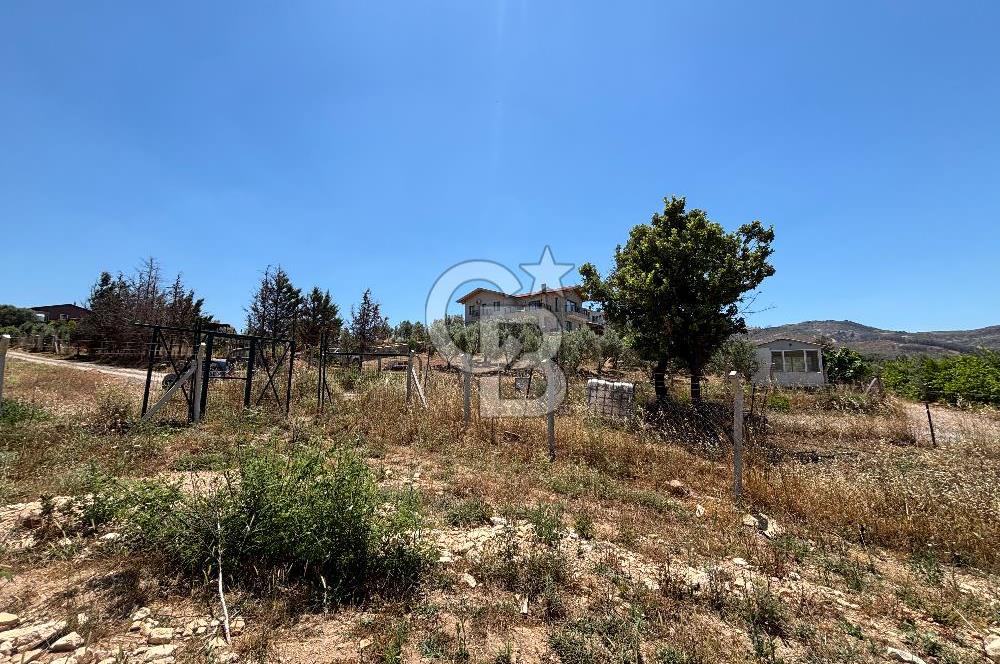 Seferihisar Orhanlı Köyünde Satılık Tarla