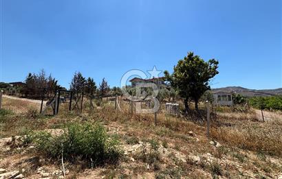 Seferihisar Orhanlı Köyünde Satılık Tarla