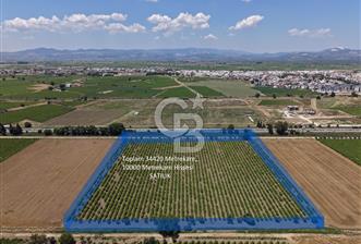 İzmir- İstanbul Karayolu Üzerinde Satılık Hisseli Tarla - 6 - 354634