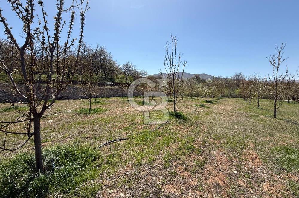 COLDWELL BANKER SAFİR'den GÜNDÜZBEY de 5000 m² VİLLA İMARLI ARSA