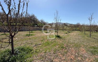 COLDWELL BANKER SAFİR'den GÜNDÜZBEY de 5000 m² VİLLA İMARLI ARSA
