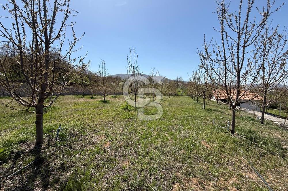 COLDWELL BANKER SAFİR'den GÜNDÜZBEY de 5000 m² VİLLA İMARLI ARSA