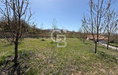 COLDWELL BANKER SAFİR'den GÜNDÜZBEY de 5000 m² VİLLA İMARLI ARSA