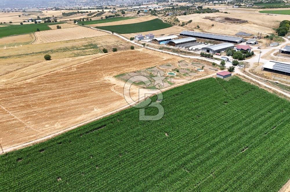Dulkadiroğlu Dereköy'de Yolu Açılmış Satılık Tarla