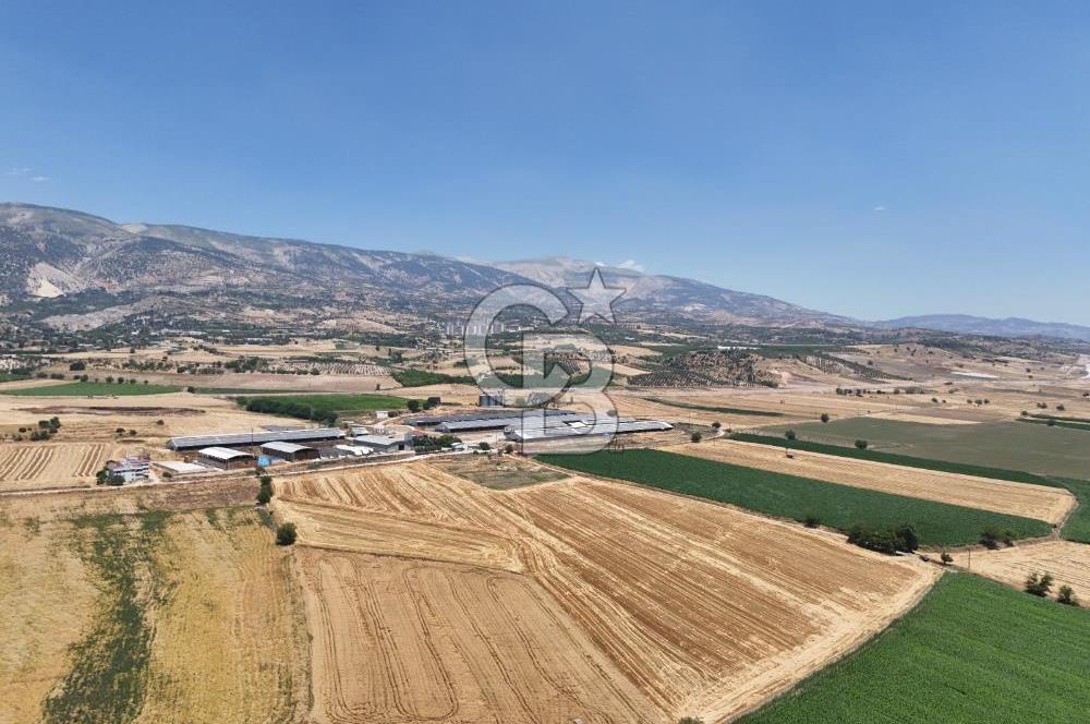 COLDWELL BANKERDEN DEREKÖY'DE SATILIK TARLA (22.225m²)