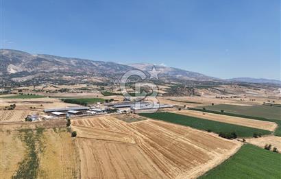 COLDWELL BANKERDEN DEREKÖY'DE SATILIK TARLA (22.225m²)