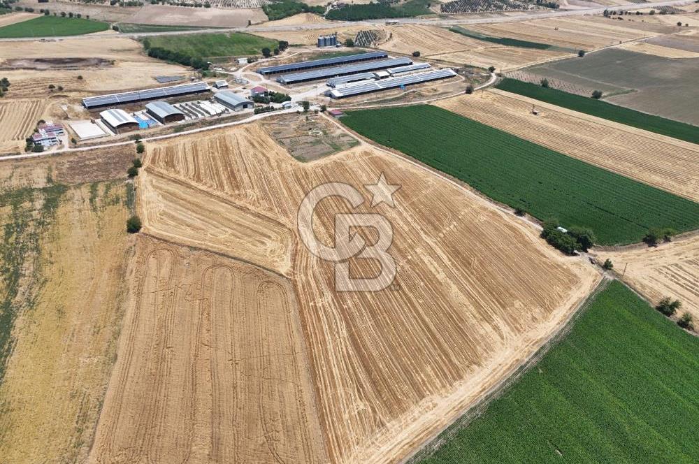 COLDWELL BANKERDEN DEREKÖY'DE SATILIK TARLA (22.225m²)