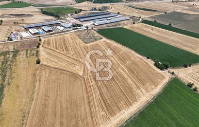 COLDWELL BANKERDEN DEREKÖY'DE SATILIK TARLA (22.225m²)