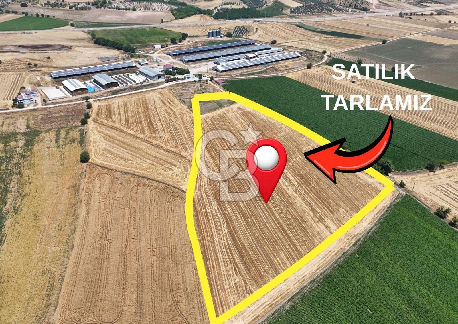 COLDWELL BANKERDEN DEREKÖY'DE SATILIK TARLA (22.225m²)