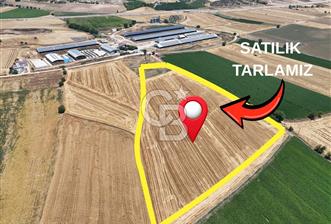COLDWELL BANKERDEN DEREKÖY'DE SATILIK TARLA (22.225m²) - 2 - 354599