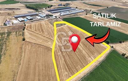 COLDWELL BANKERDEN DEREKÖY'DE SATILIK TARLA (22.225m²)