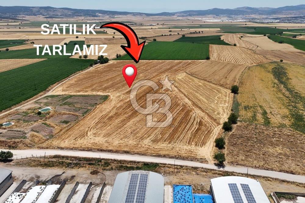 COLDWELL BANKERDEN DEREKÖY'DE SATILIK TARLA (22.225m²)