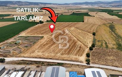COLDWELL BANKERDEN DEREKÖY'DE SATILIK TARLA (22.225m²)
