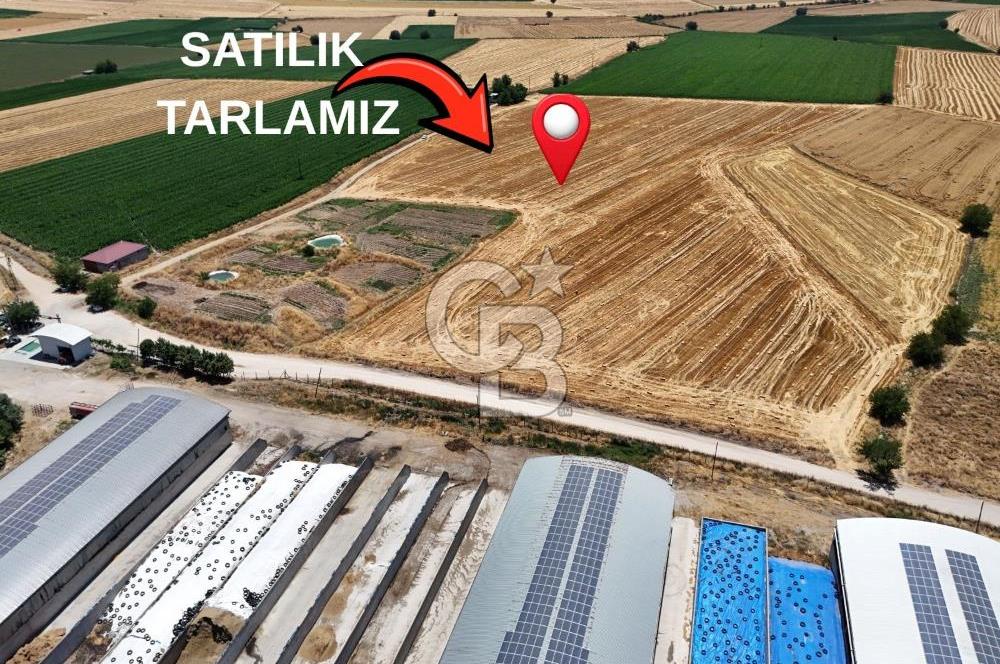 COLDWELL BANKERDEN DEREKÖY'DE SATILIK TARLA (22.225m²)