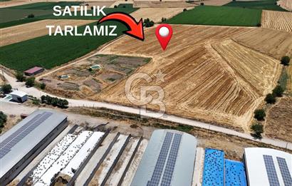 COLDWELL BANKERDEN DEREKÖY'DE SATILIK TARLA (22.225m²)
