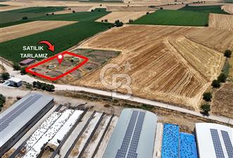 Dulkadiroğlu Dereköy'de Yolu Açılmış Satılık Tarla - 1 - 354601