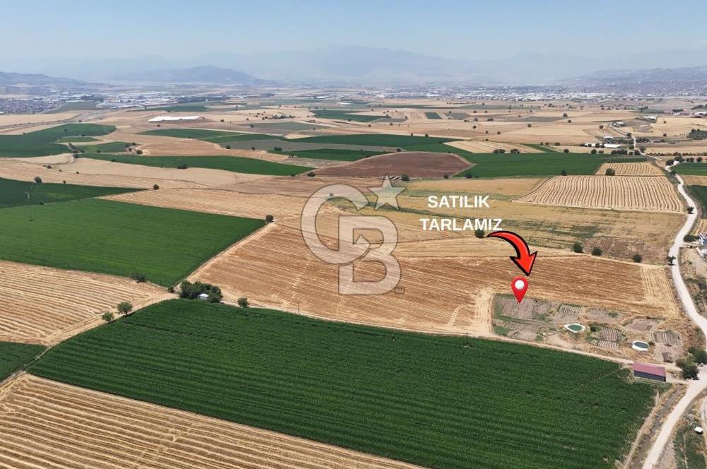 COLDWELL BANKERDEN DEREKÖY'DE SATILIK TARLA (22.225m²)