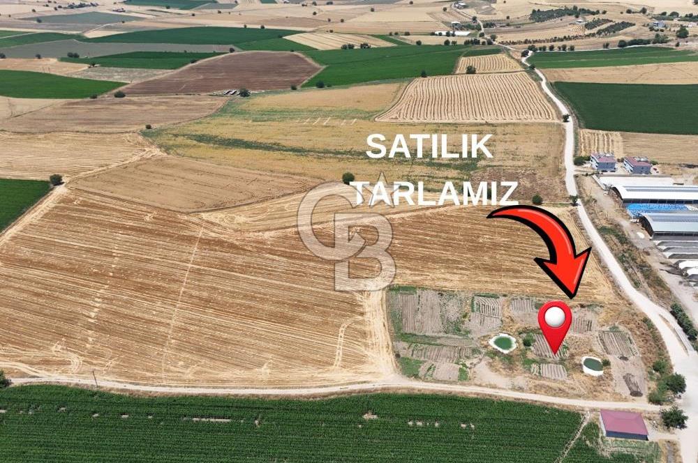 Dulkadiroğlu Dereköy'de Yolu Açılmış Satılık Tarla