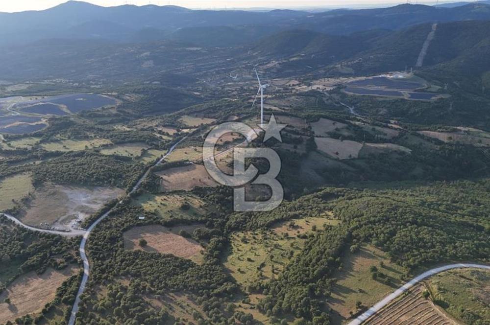 ÇANAKKALE MERKEZ KOCALAR KÖYÜNDE 13.300 M2 TARLA