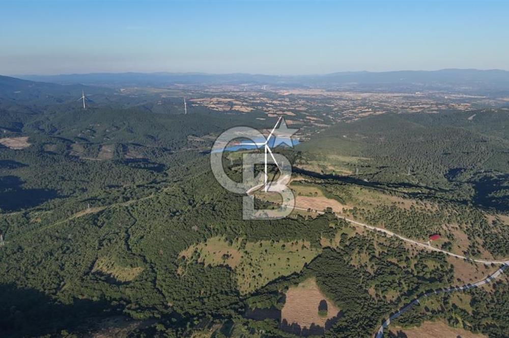ÇANAKKALE MERKEZ KOCALAR KÖYÜNDE 13.300 M2 TARLA