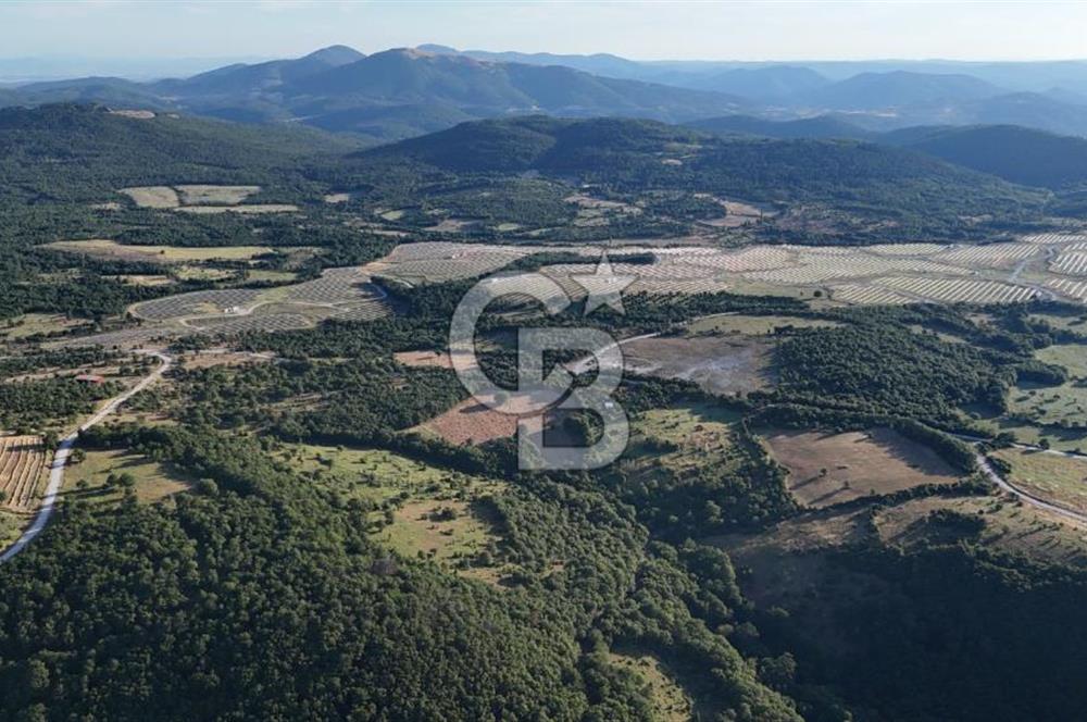 ÇANAKKALE MERKEZ KOCALAR KÖYÜNDE 13.300 M2 TARLA