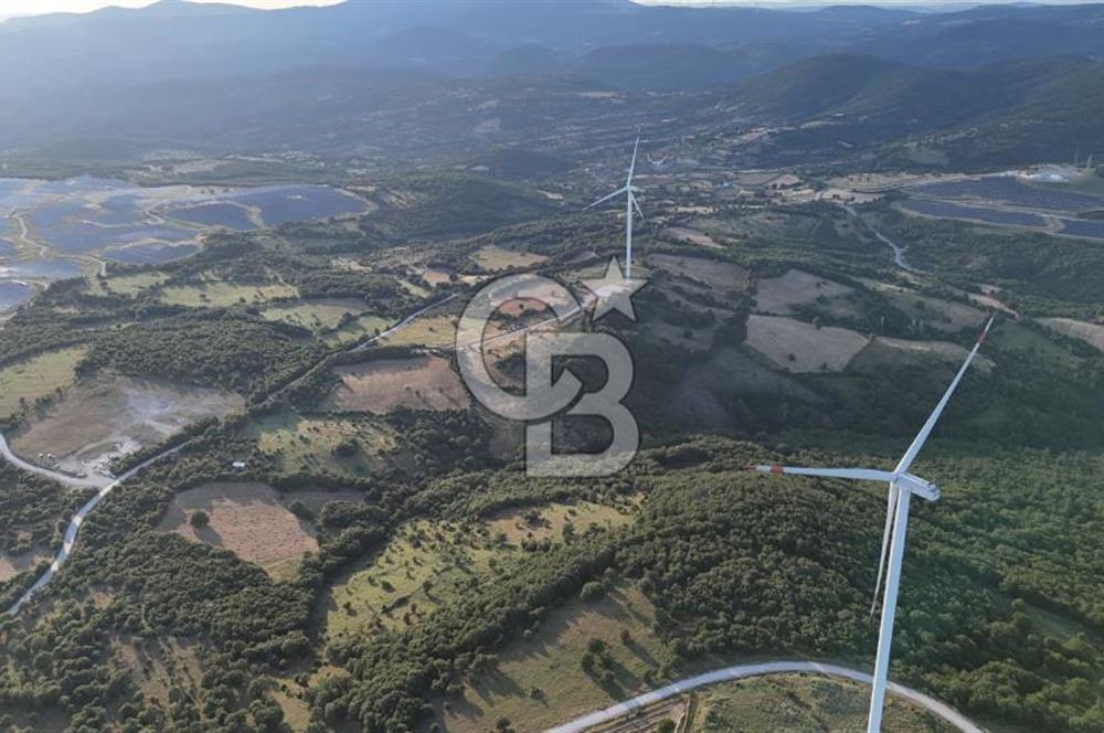 ÇANAKKALE MERKEZ KOCALAR KÖYÜNDE 13.300 M2 TARLA