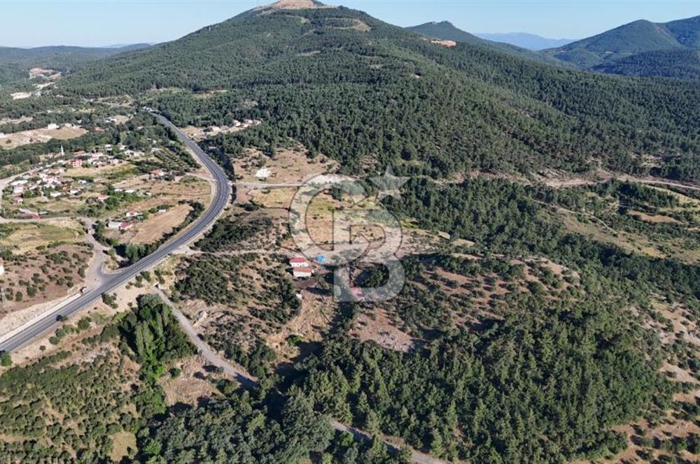 ÇANAKKALE KİRAZLI KÖYÜNDE 9.500 M2 TARLA