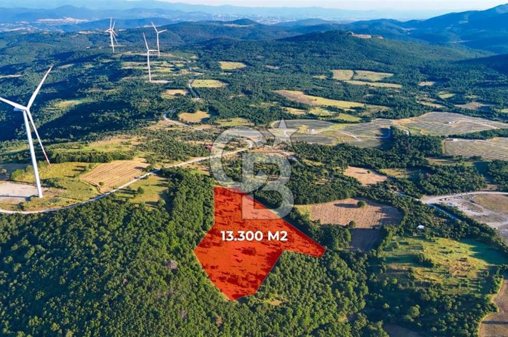 ÇANAKKALE MERKEZ KOCALAR KÖYÜNDE 13.300 M2 TARLA