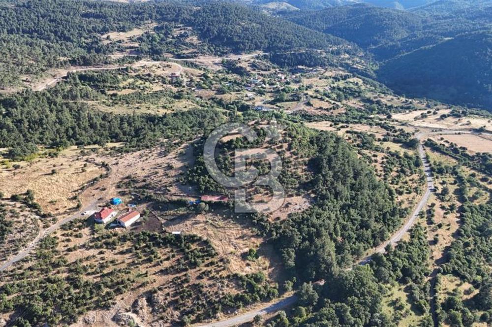 ÇANAKKALE KİRAZLI KÖYÜNDE 9.500 M2 TARLA