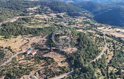 ÇANAKKALE KİRAZLI KÖYÜNDE 9.500 M2 TARLA