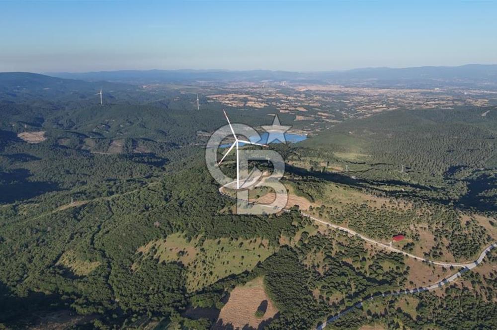 ÇANAKKALE MERKEZ KOCALAR KÖYÜNDE 13.300 M2 TARLA