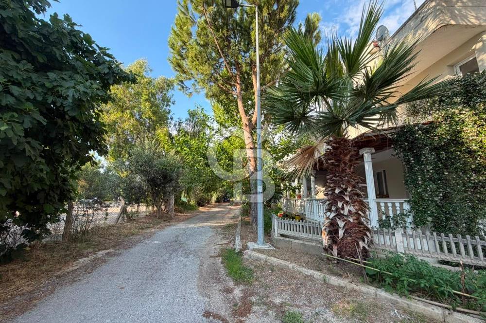 Sahile Yakın, Havuzlu Sitede, Yeşillikler İçinde Sakin Yaşam