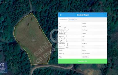 CB ENVOY'dan Gölcük Nüzhetiye'de 6342m2 Doğayla İç İçe Arsa