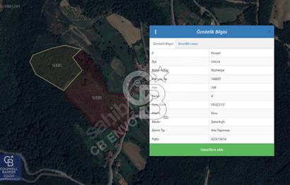 CB ENVOY'dan Gölcük Nüzhetiye'de 53.505m2 Doğayla İç İçe Arsa