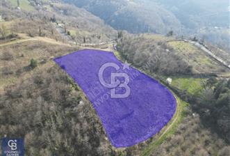 CB ENVOY'dan Gölcük Nüzhetiye'de 6342m2 Doğayla İç İçe Arsa - 12 - 354666