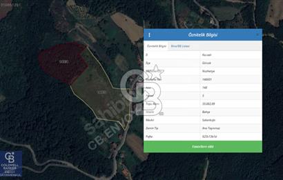 CB ENVOY'dan Gölcük Nüzhetiye'de 53.505m2 Doğayla İç İçe Arsa