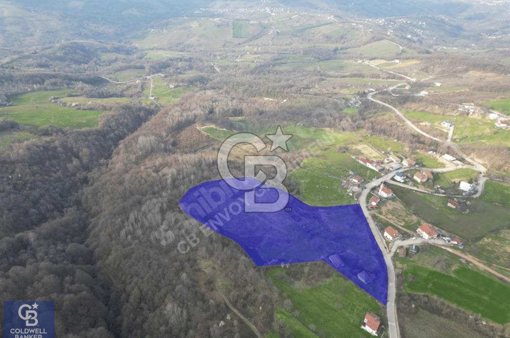 CB ENVOY'dan Gölcük Nüzhetiye'de 53.505m2 Doğayla İç İçe Arsa