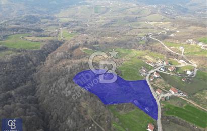 CB ENVOY'dan Gölcük Nüzhetiye'de 53.505m2 Doğayla İç İçe Arsa