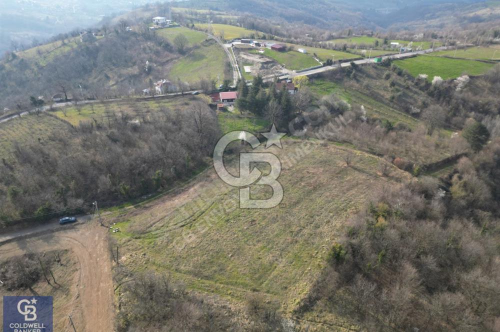 CB ENVOY'dan Gölcük Nüzhetiye'de 6342m2 Doğayla İç İçe Arsa