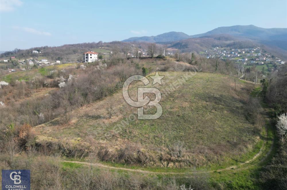 CB ENVOY'dan Gölcük Nüzhetiye'de 6342m2 Doğayla İç İçe Arsa