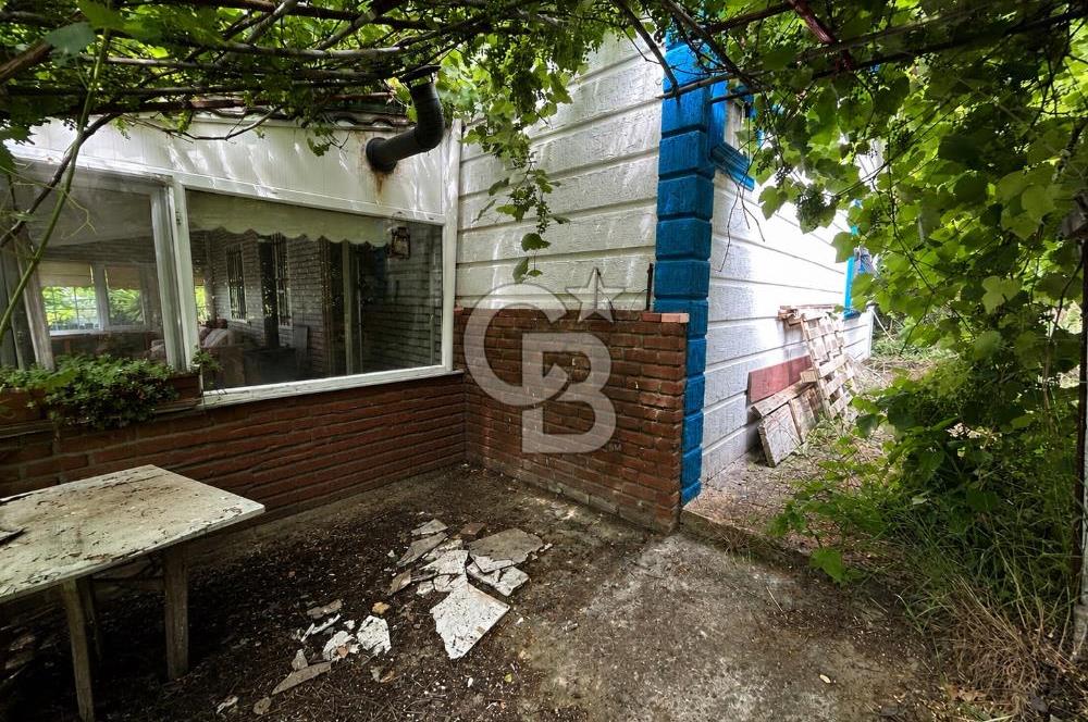 ALTINTAŞ KIZILAY KAMPINDA ORMANA KOMŞU MÜSTAKİL YAŞAM FIRSATI