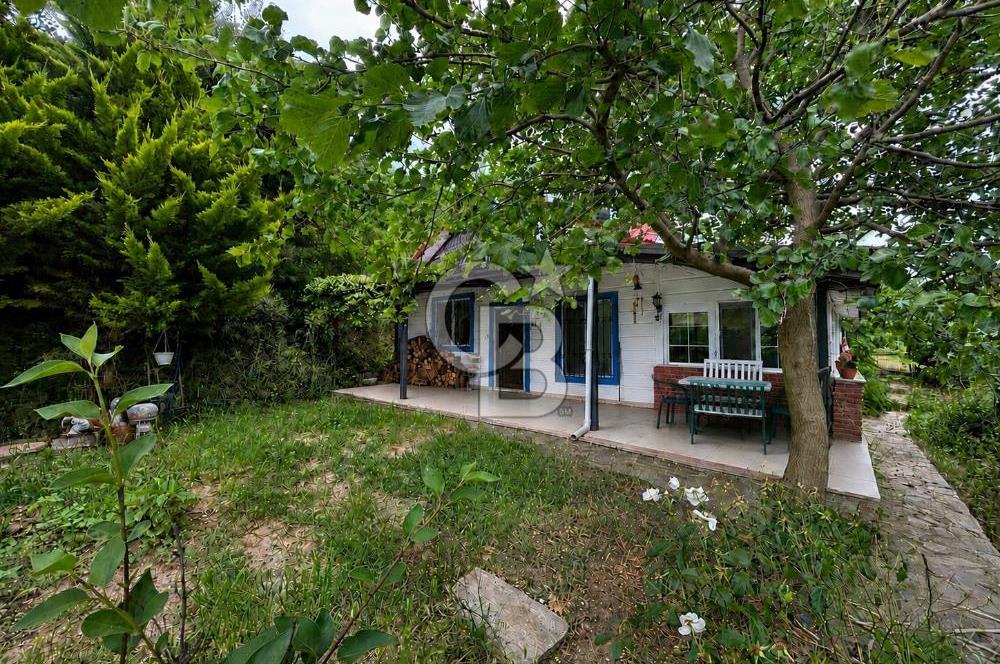 ALTINTAŞ KIZILAY KAMPINDA ORMANA KOMŞU MÜSTAKİL YAŞAM FIRSATI