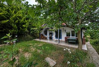 ALTINTAŞ KIZILAY KAMPINDA ORMANA KOMŞU MÜSTAKİL YAŞAM FIRSATI - 1 - 354703