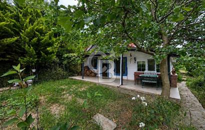 ALTINTAŞ KIZILAY KAMPINDA ORMANA KOMŞU MÜSTAKİL YAŞAM FIRSATI